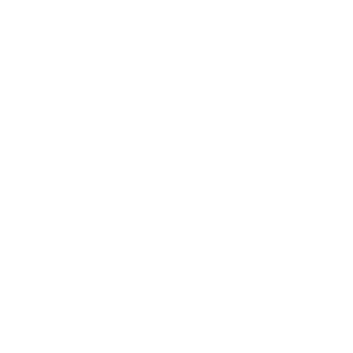 icon2w